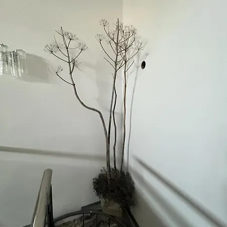 Archontiko Papadopoulou Vilă Mosfiloti