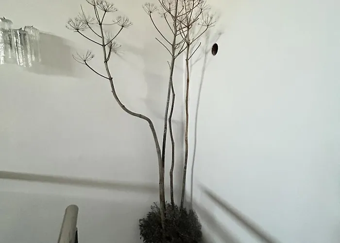 Archontiko Papadopoulou Willa Mosfiloti